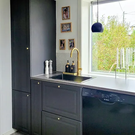 1950s Functionalist With Vagakallen Views